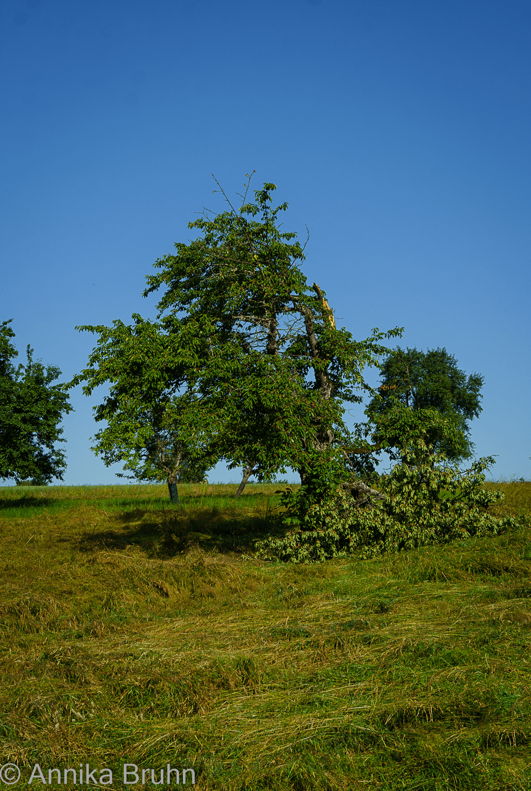 Nach dem Unwetter